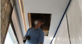 expert inspecting mold damage in ceiling