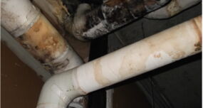 solving mold pipes in hotel buildings