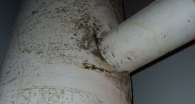multi-family mold and moisture analysis services
