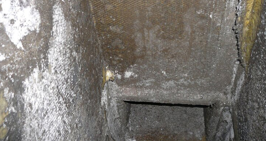 Duct With Mold Damage in Subsystem Needs Replaced
