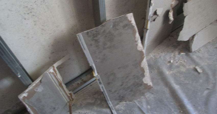 drywall mold growth in hot humid climates